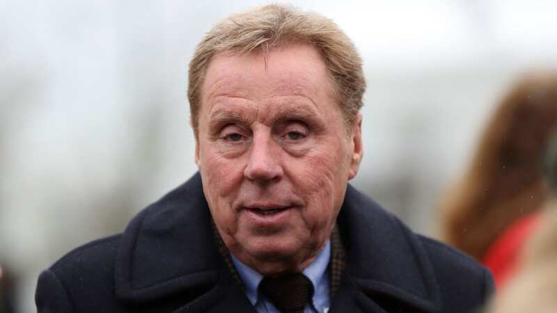 Harry Redknapp could have a runner in the Grand National (Image: PA)