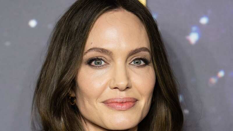 Angelina Jolie helped publicise the existence of BRCA gene (Image: Samir Hussein/WireImage)