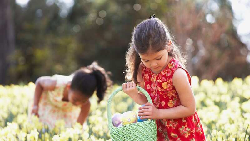 Easter egg hunts can be lots of fun - but then can also lead to tears (stock photo) (Image: Getty Images)