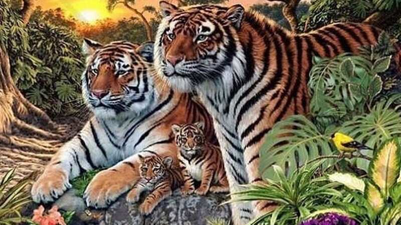 There are 16 tigers hiding somewhere throughout the image (Image: Playbuzz)