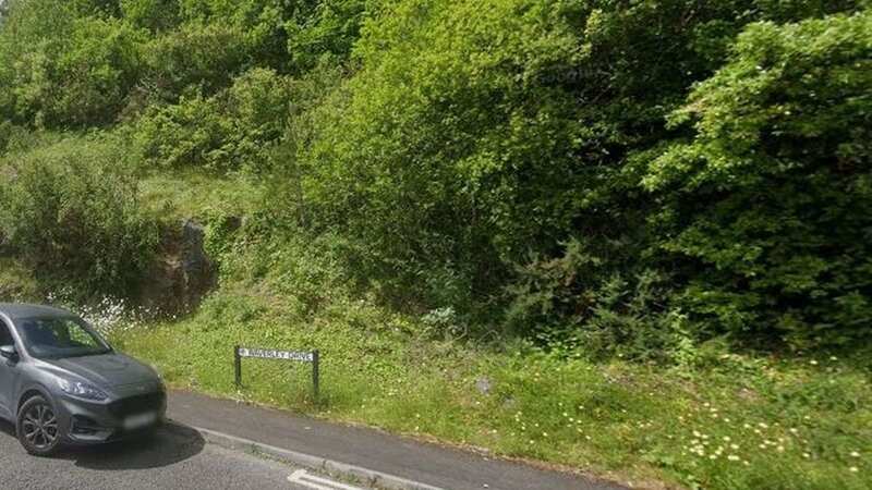 Human remains have been found in woodland near Swansea (Image: Google Maps)