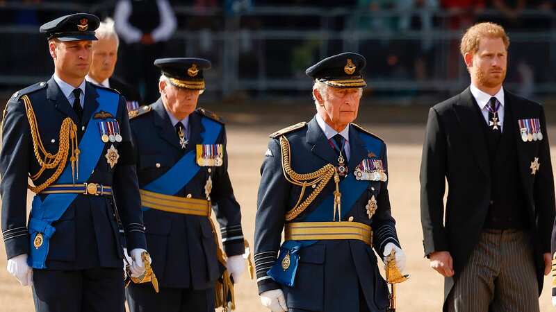 The Sussexes faced the threat of being stripped of their titles (Image: Getty Images)