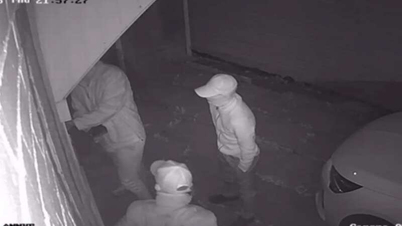 Burglars spray Cillit Bang in kid