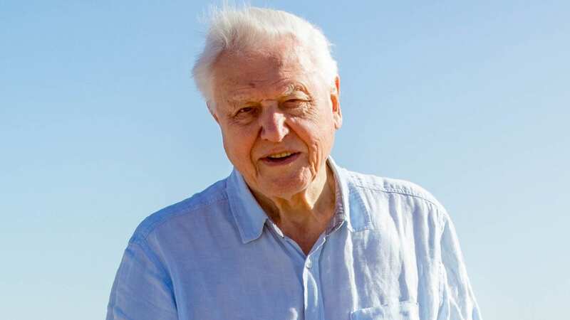 Sir David Attenborough makes startling historic discovery in new BBC film