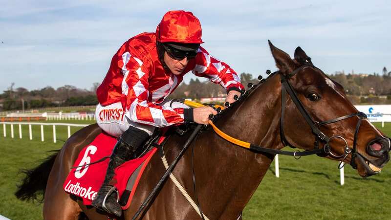 Mighty Potter: suffered a fatal fall at Fairyhouse (Image: ©INPHO/Morgan Treacy)