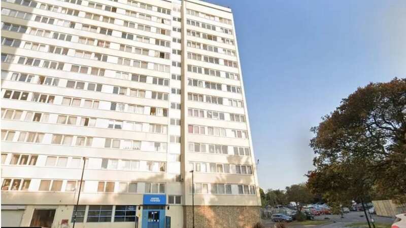 Police were called to Havre Towers in International Way, Southampton, shortly after 06:30am on Monday (Image: Google)