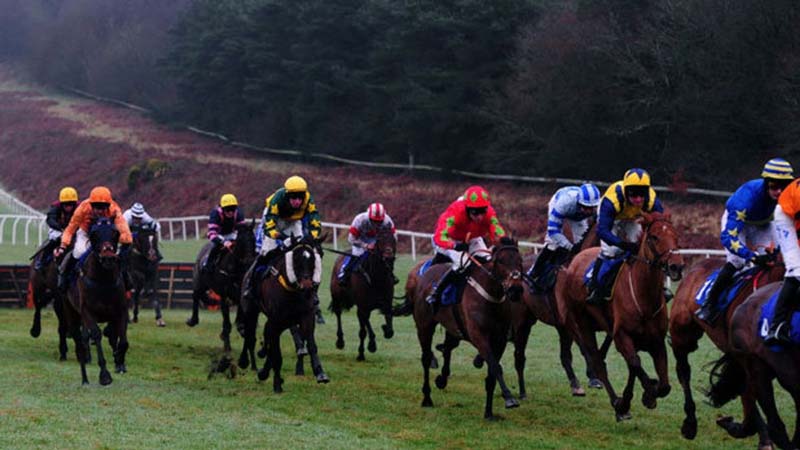 Exeter hosts a seven-race card on Tuesday (Image: GETTY)