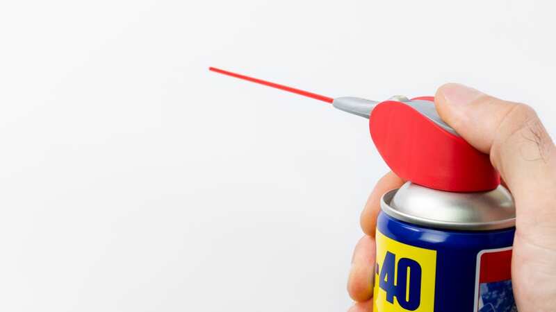 WD-40 is a popular product amongst DIYers (stock image) (Image: Getty Images/iStockphoto)