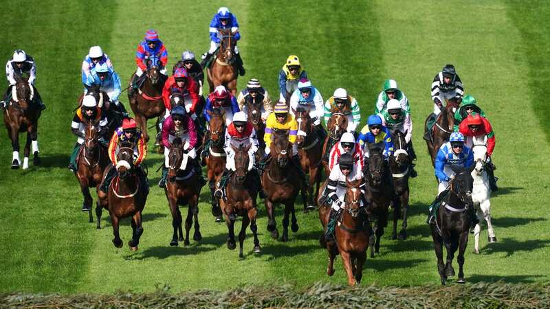 Envoye Special (front right) competing in the Foxhunters at Aintree (Image: PA)