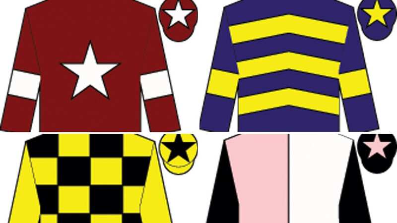 Pinstickers guide to Grand National 2023 runners, prediction, odds and colours