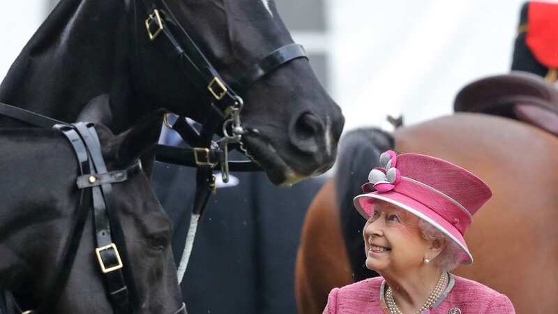 Queen Elizabeth II has a keen horse owner, and now King Charles has inherited most of her collection (Image: Getty Images)