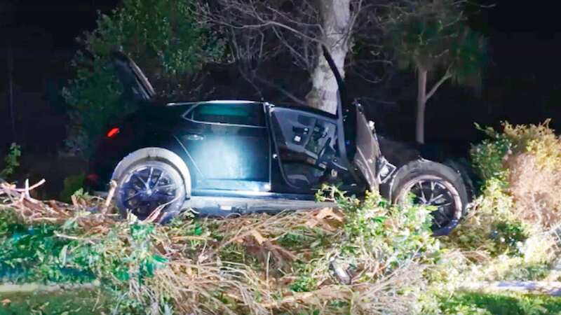 Drunk driver ploughs car into hedge after running over two elderly pedestrians