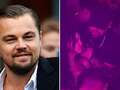 Leonardo DiCaprio parties with Bradley Cooper's ex Irina Shayk at Coachella