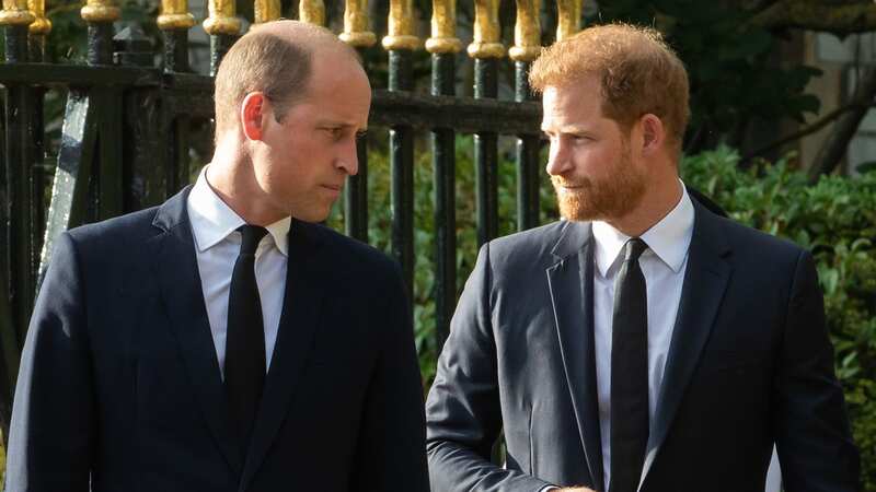 Harry and William have no plans to meet at Coronation (Image: In Pictures via Getty Images)