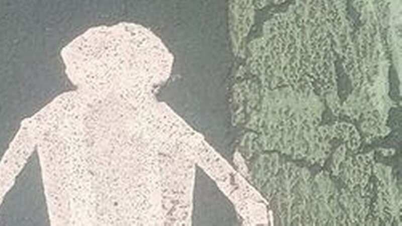 The Council have admitted it is not the best likeness (Image: Plymouth Live)