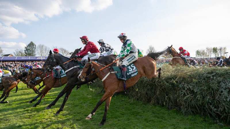 The moment Hill Sixteen fell at Aintree (Image: Andy Stenning/Daily Mirror)