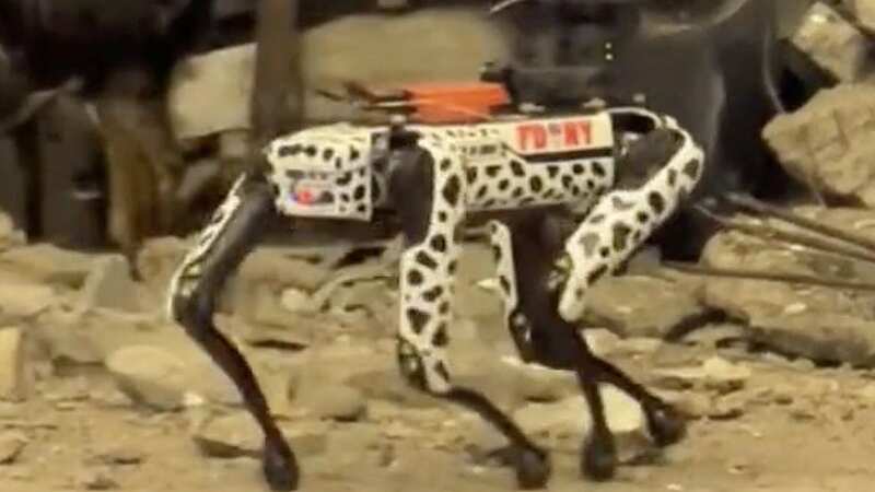 Robot dog spotted inspecting rubble at garage collapse which killed one