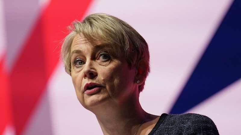 Shadow Home Secretary Yvette Cooper said there are "grave concerns" (Image: Getty Images)