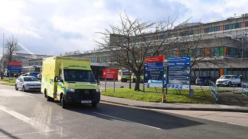 Sarah Lewis died weeks after attending Glan Clwyd Hospital (Image: Julian Hamilton/Daily Mirror)