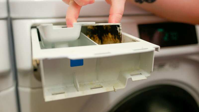 The woman wanted something to banish the mould once and for all (Image: James Beck/Freelance)