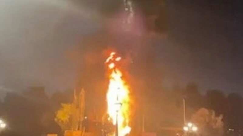 The Disneyland dragon caught fire mid-performance (Image: Citizen App)