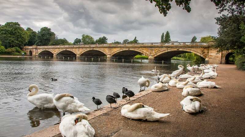 Serpentine lake in Hyde Park, London (Image: Getty Images)