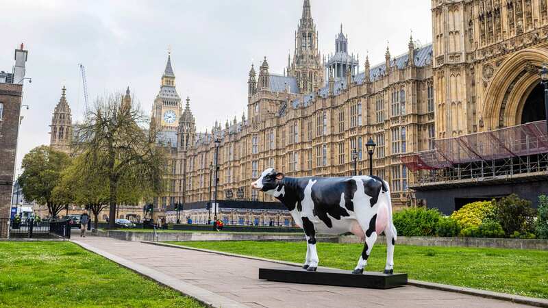 The unusual, life-sized sculpture appeared outside the Houses of Parliament in Westminster (Image: SWNS)