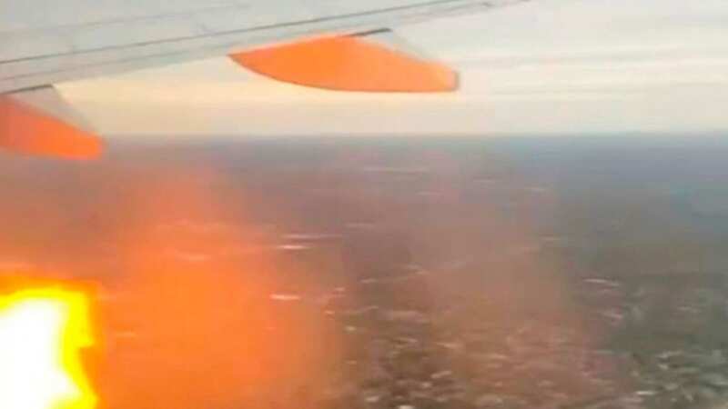 Heart-stopping moment plane bursts into flames after it hits flock of geese