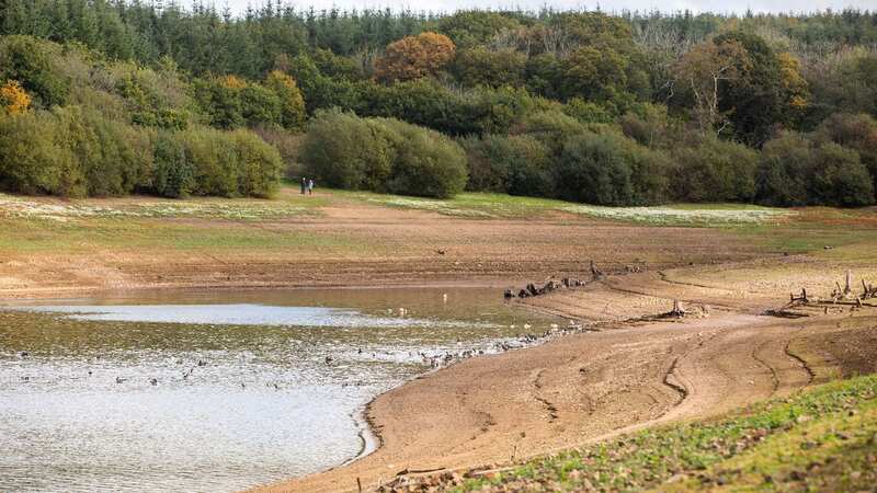 The ban was introduced because water levels at Roadford Reservoir remain almost a third lower than last year (Image: SWNS)