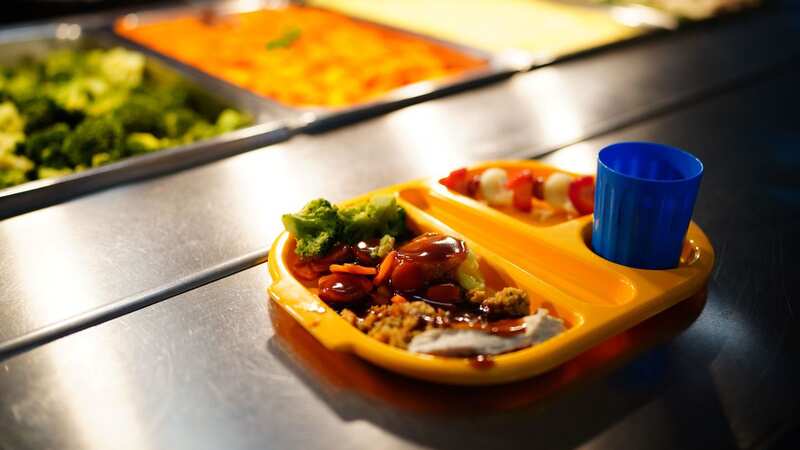 Schools are serving smaller dinners due to spiralling costs, MPs have been told (Image: PA)