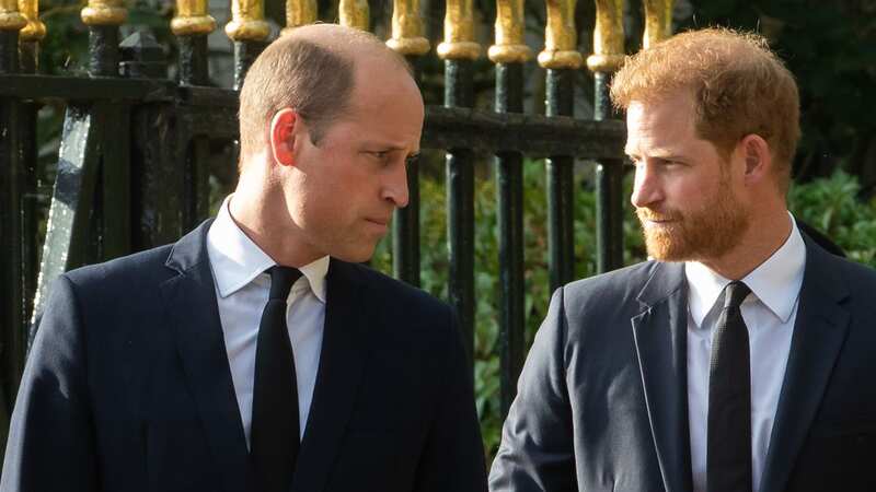 Prince Harry with his brother Prince William (Image: In Pictures via Getty Images)