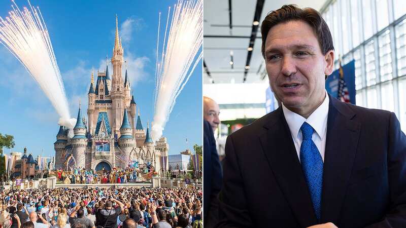 Disney is going to war (Image: Anadolu Agency via Getty Images)