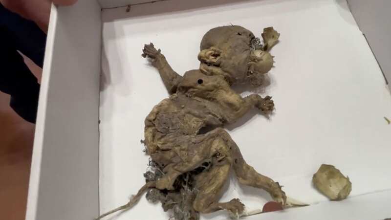 Goblin foetus found in disused warehouse, claims local mayor (Image: Jam Press)