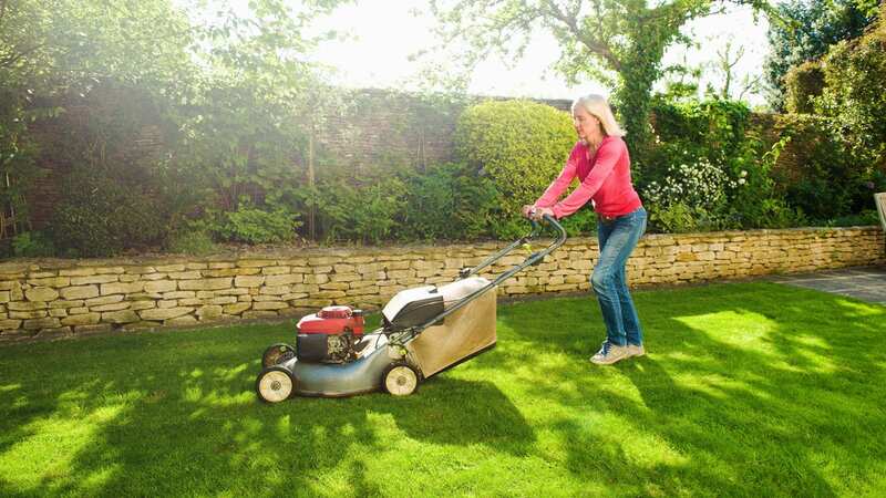 Experts say less lawn-mowing is good (Image: Getty Images/Cultura RF)