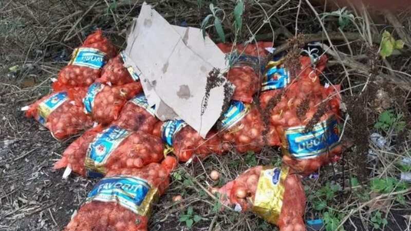 The onions pictured being dumped by the road (Image: Birmingham City Council)