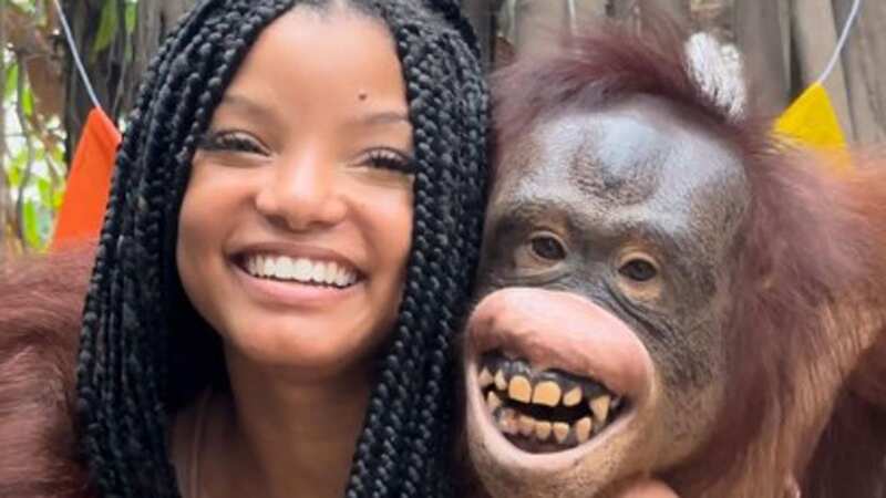 Little Mermaid star Halle Bailey faces backlash after posing with animals in zoo