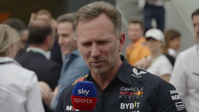 Christian Horner demanded action from the FIA (Image: Sky Sports)