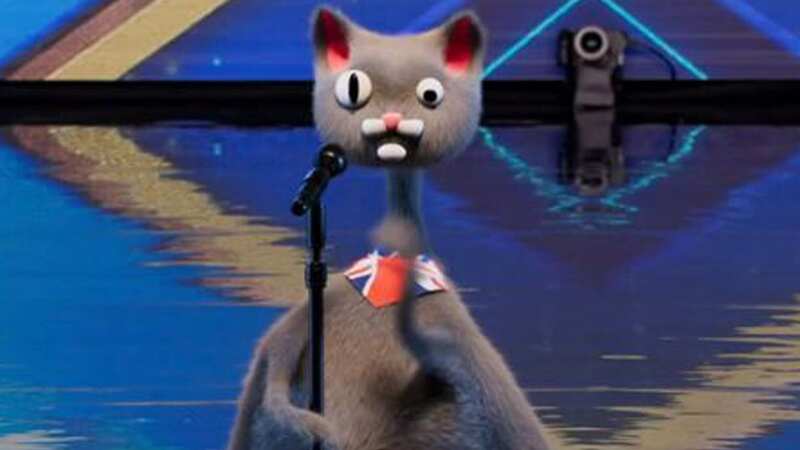 BGT viewers think they have worked out the real identity of CGI cat Noodle