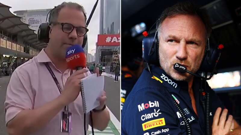 Ted Kravitz admitted his mistake (Image: Sky Sports)