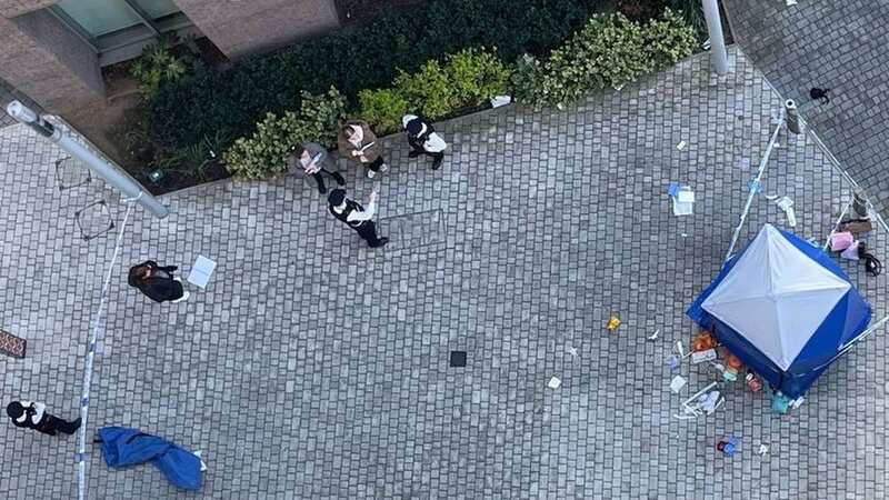A woman in her 30s has died after a stabbing in Brixton, south London (Image: Supplied)