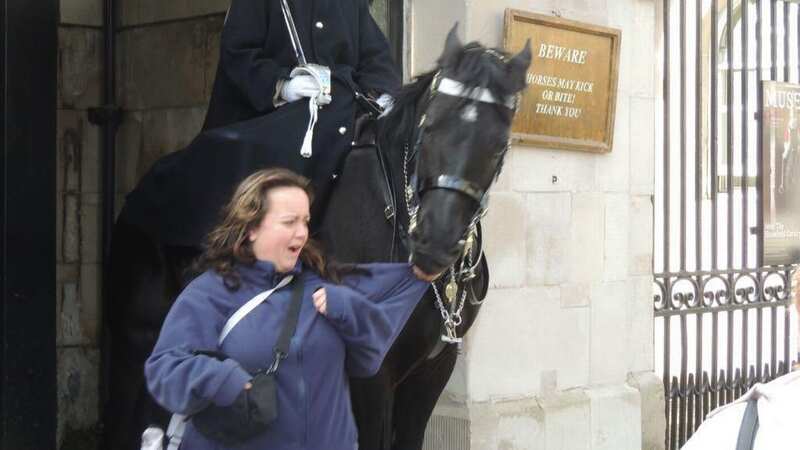 The incident happened in the same spot where a horse clamped down on a woman