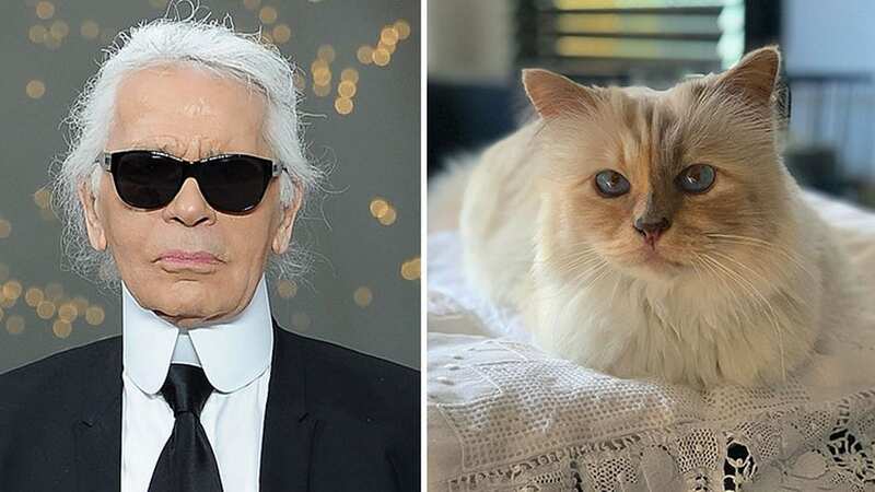 The late Karl Lagerfeld