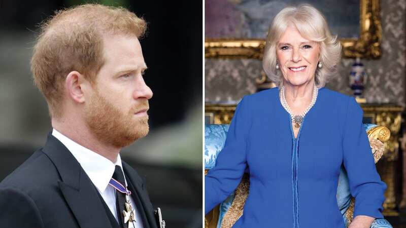 Prince Harry will have to bow to Queen Camilla and keep 