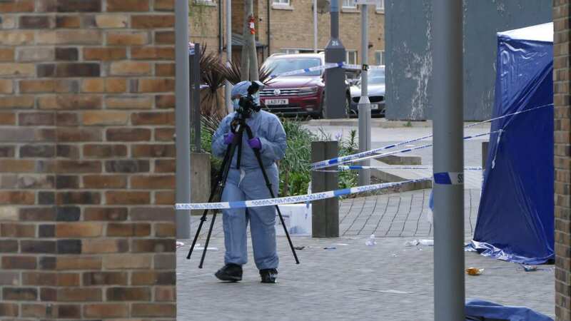 A woman in her 30s was stabbed (Image: UkNewsinPictures)