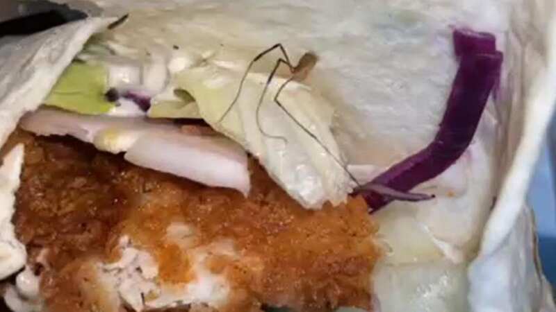 Luke Hatherall found a spider in his KFC wrap (Image: Luke Hatherall/WALES NEWS SERVICE)