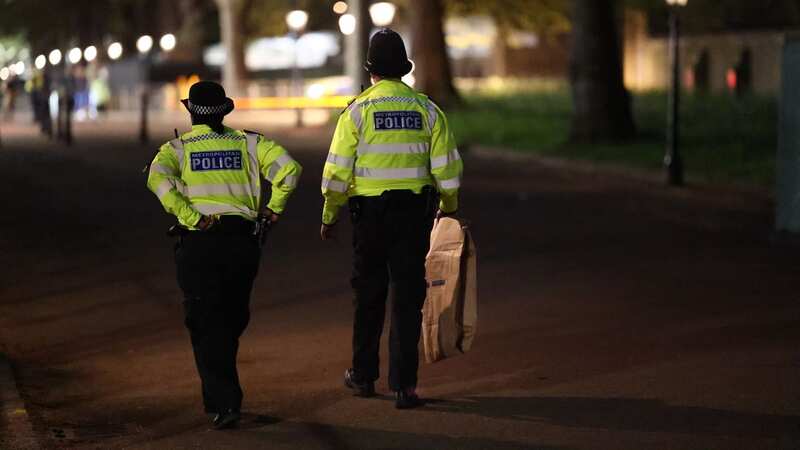 Two Met Police officers were arrested and suspended (stock image) (Image: Ben Cawthra/LNP)