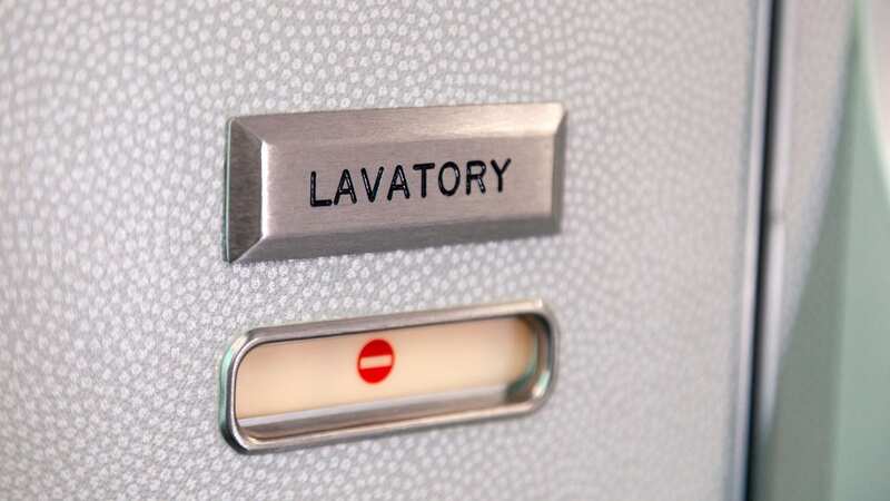 A flight attendant has explained how her colleagues clean the toilet on planes (Image: Getty Images/iStockphoto)