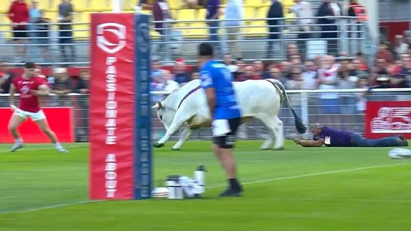 A Catalans Dragons star was stunned when a bull charged at him (Image: @SkySportsRL/Twitter)