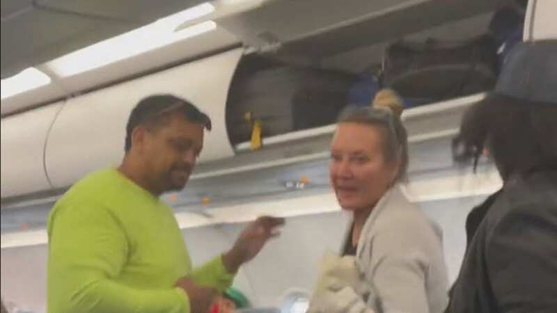 A passenger asked others to vote if they wanted the woman escorted out (Image: TikTok)