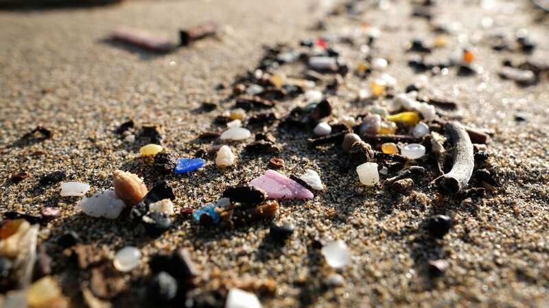Nurdles and micro plastics are smothering habitats and reducing plant growth